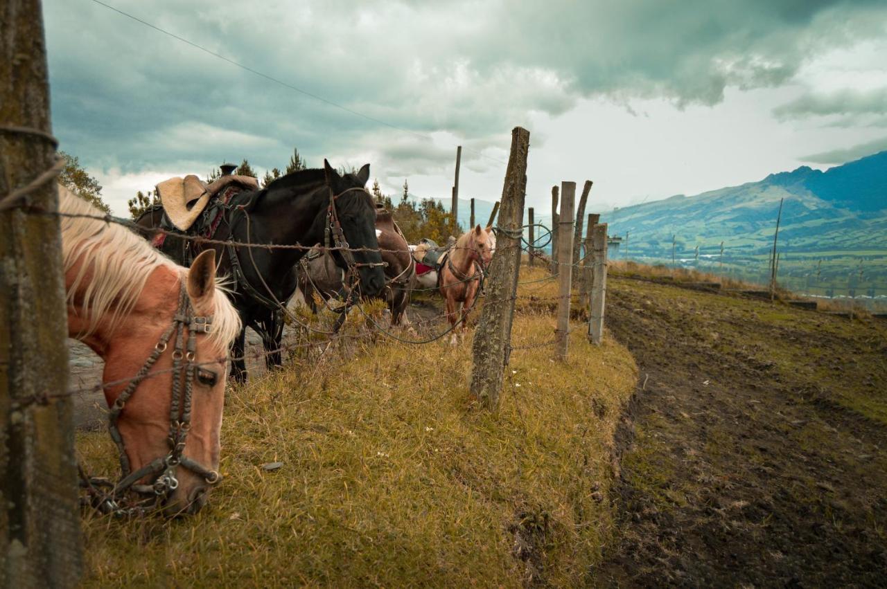 Chuquiragua Lodge & Spa Machachi エクステリア 写真